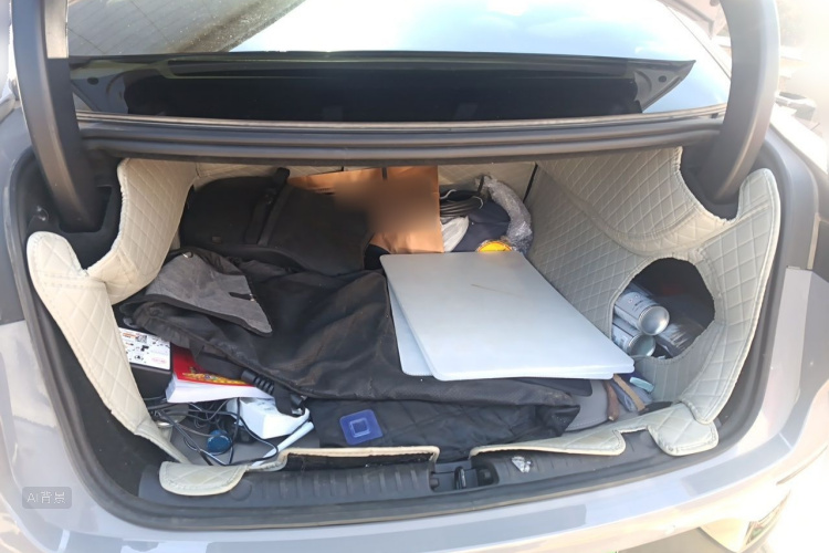 BYD Han 2024 car image #21