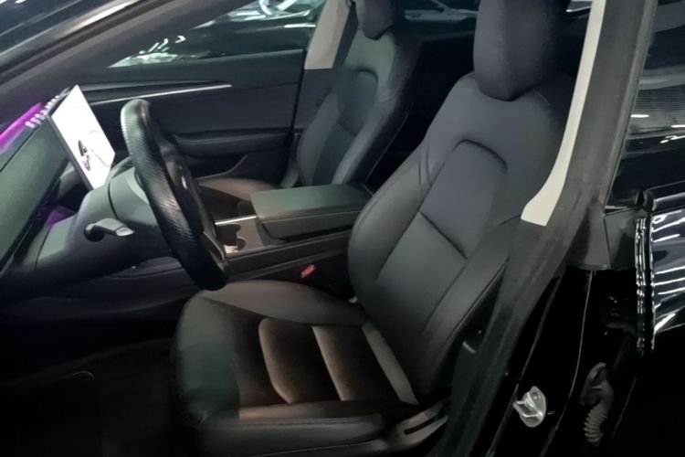 Tesla Model 3 2021 car image #20