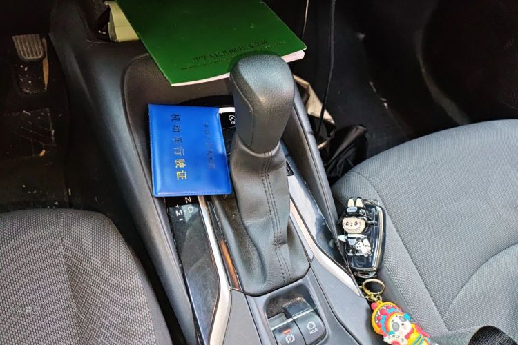 Toyota Corolla 2019 car image #16
