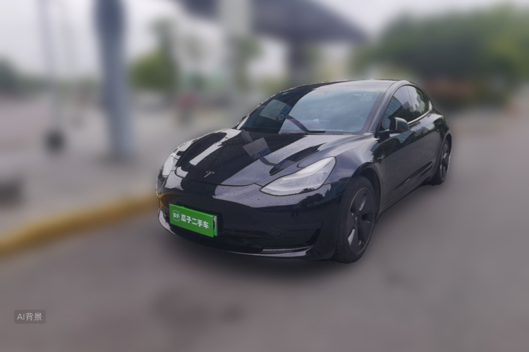 Tesla Model 3 2021 car image #2