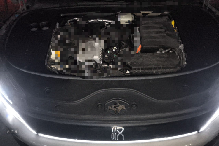 BYD Han 2025 car image #22