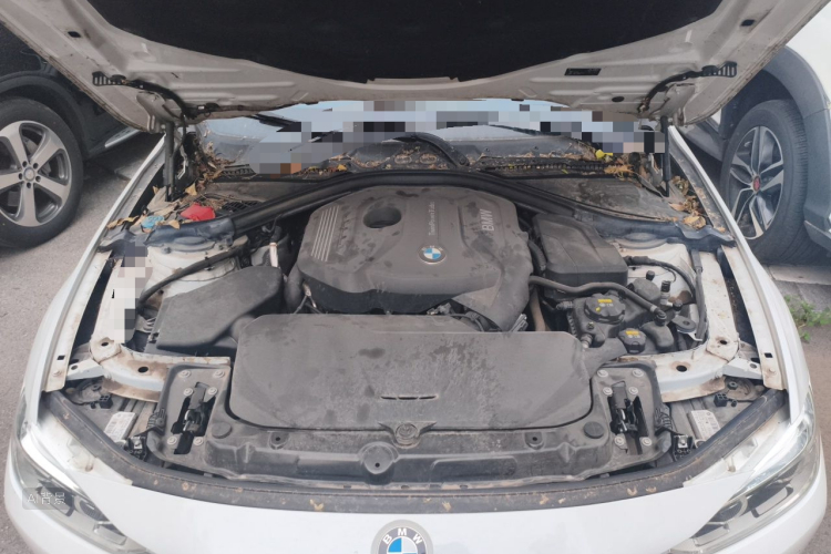 BMW 3 Series 2017 #22 BMW 3 Series 2017 car image #22