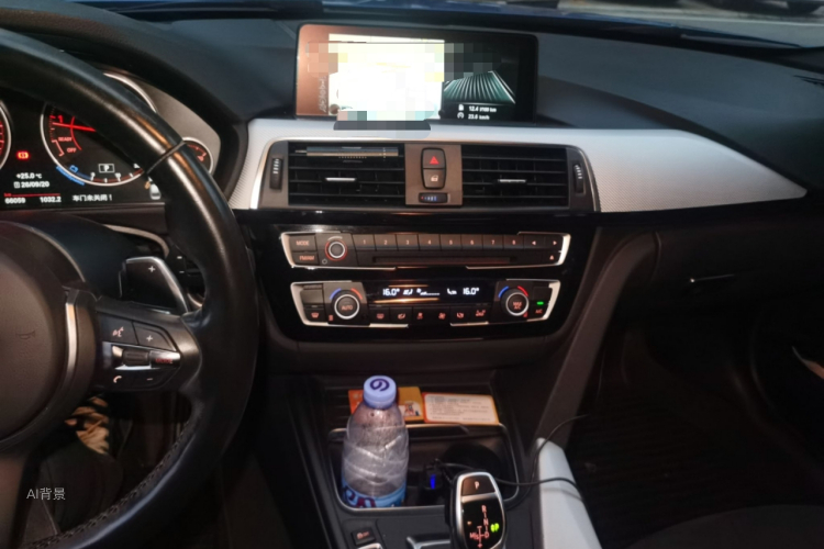 BMW 3 Series 2016 car image #15