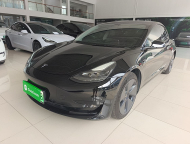 Tesla Model 3 2021 car image 