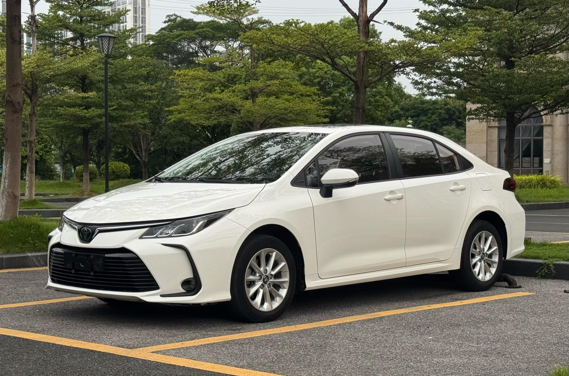 Toyota Corolla 2021 Toyota Corolla 2021 car image