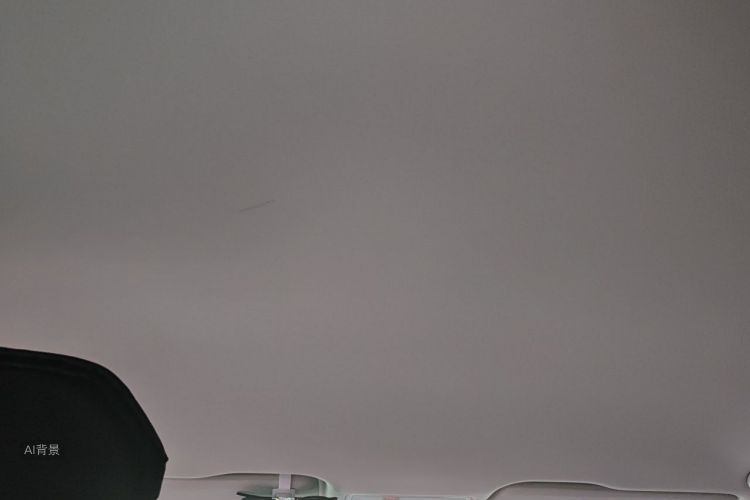 Volkswagen Bora 2019 car image #20
