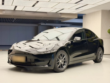 Tesla Model 3 2023 car image 