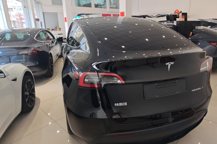 Tesla Model Y 2023 car image #4