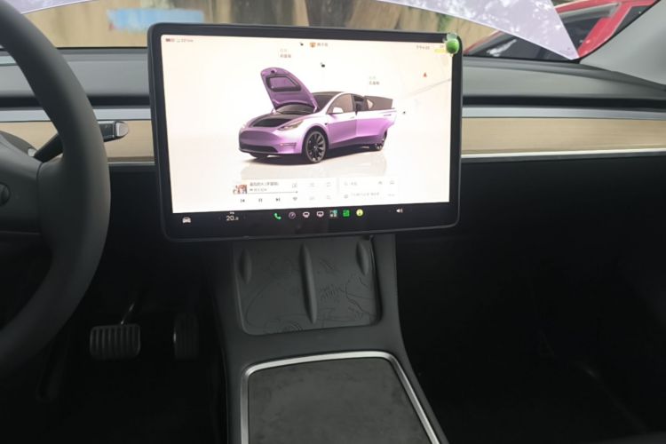 Tesla Model Y 2022 car image #13
