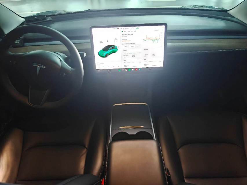 Tesla Model 3 2021 car image #7