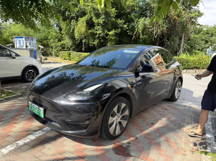 Tesla Model Y 2021 car image 