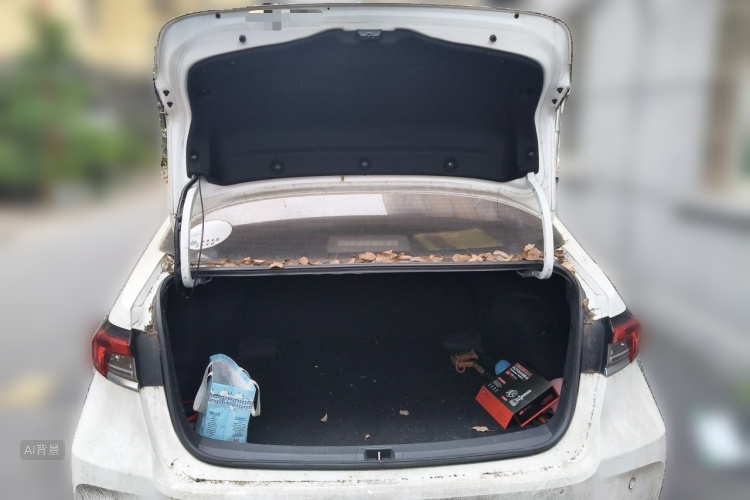 Toyota Corolla 2021 car image #21