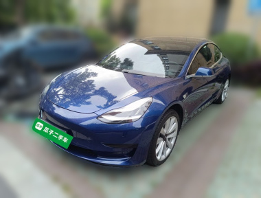 Tesla Model 3 2020 Tesla Model 3 2020 car image