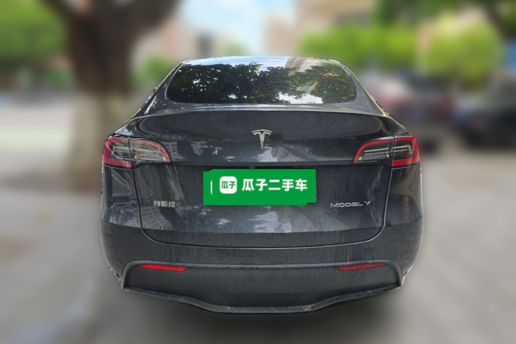 Tesla Model Y 2024 car image #4