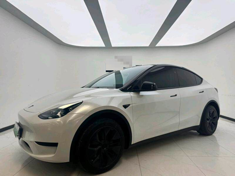 Tesla Model Y 2024 car image #2