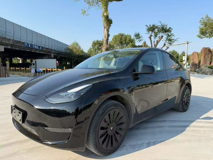 Tesla Model Y 2023 car image 