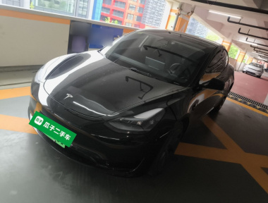 Tesla Model 3 2021 Tesla Model 3 2021 car image