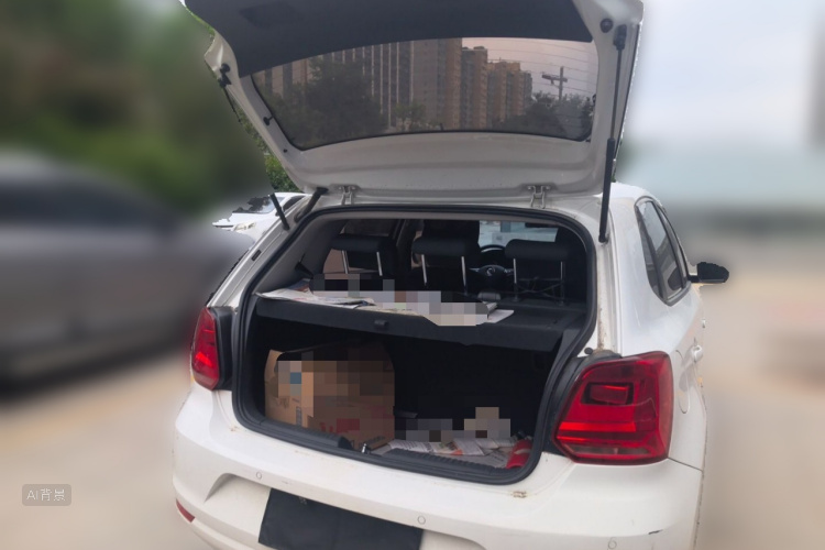 Volkswagen Polo 2019 car image #21