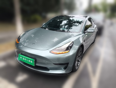 Tesla Model 3 2021 Tesla Model 3 2021 immagine di auto