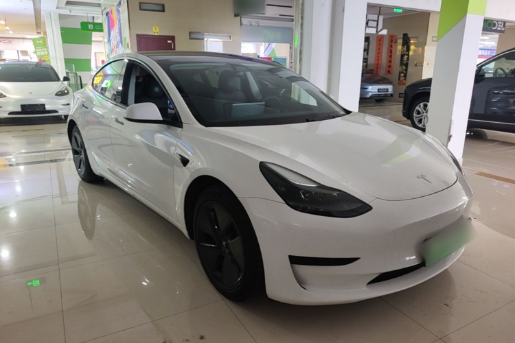 Tesla Model 3 2021 #4 Tesla Model 3 2021 car image #4