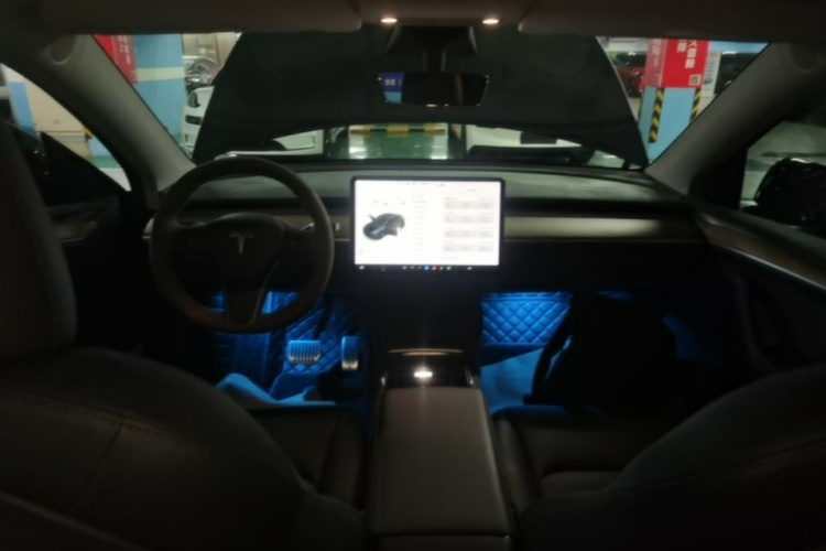 Tesla Model Y 2021 car image #10