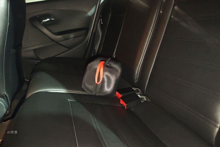 Volkswagen Polo 2016 car image #19