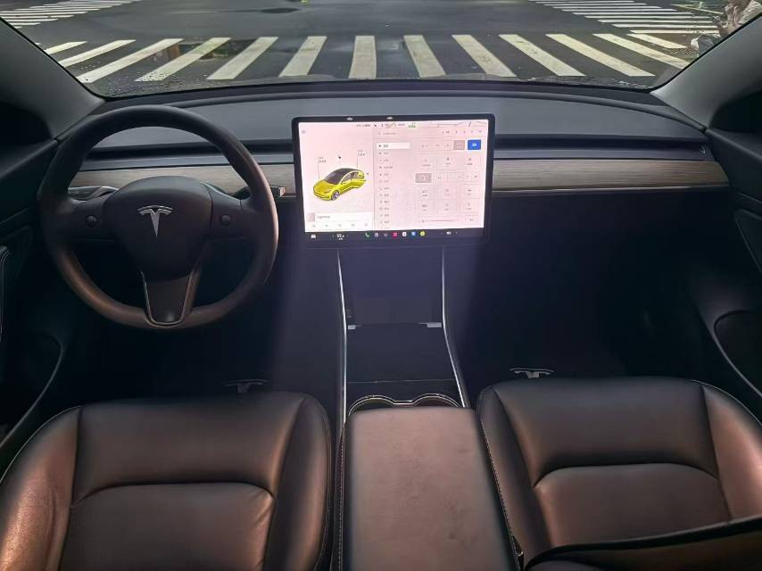 Tesla Model 3 2021 #9 Tesla Model 3 2021 car image #9