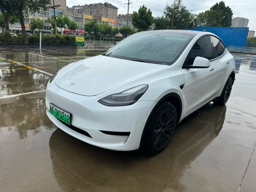 Tesla Model Y 2024 car image 