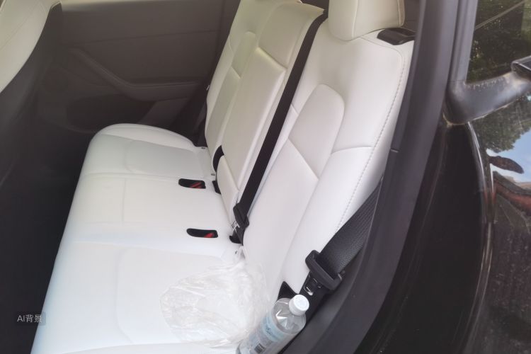 Tesla Model Y 2021 car image #19