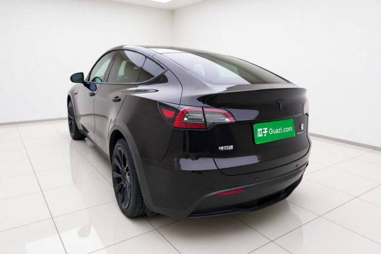 Tesla Model Y 2021 car image #5