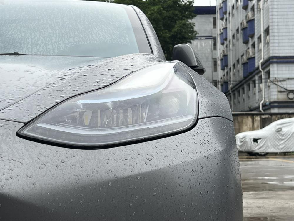 Tesla Model 3 2022 #7 Tesla Model 3 2022 car image #7