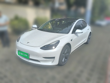 Tesla Model 3 2022 Tesla Model 3 2022 car image