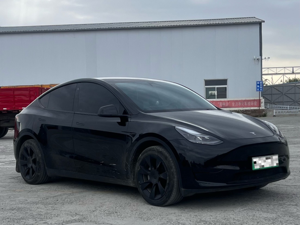 Tesla Model Y 2023 #3 Tesla Model Y 2023 car image #3