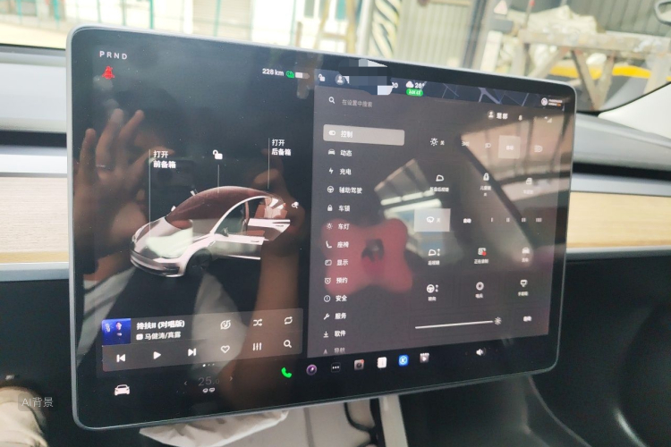 Tesla Model 3 2021 car image #13