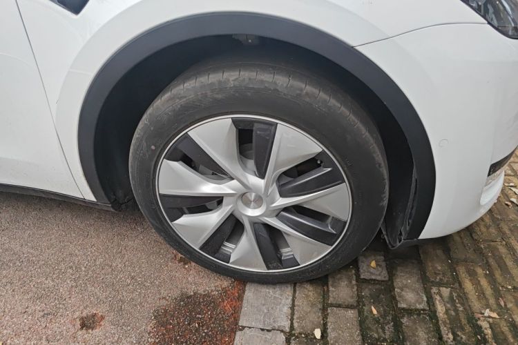 Tesla Model Y 2023 car image #6