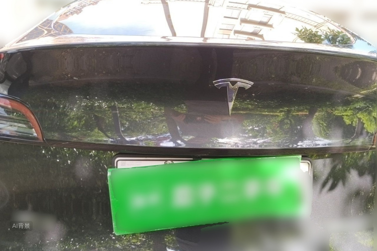 Tesla Model Y 2024 car image #6