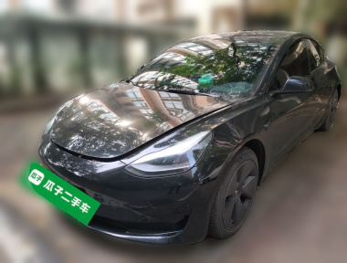 Tesla Model 3 2022 car image 
