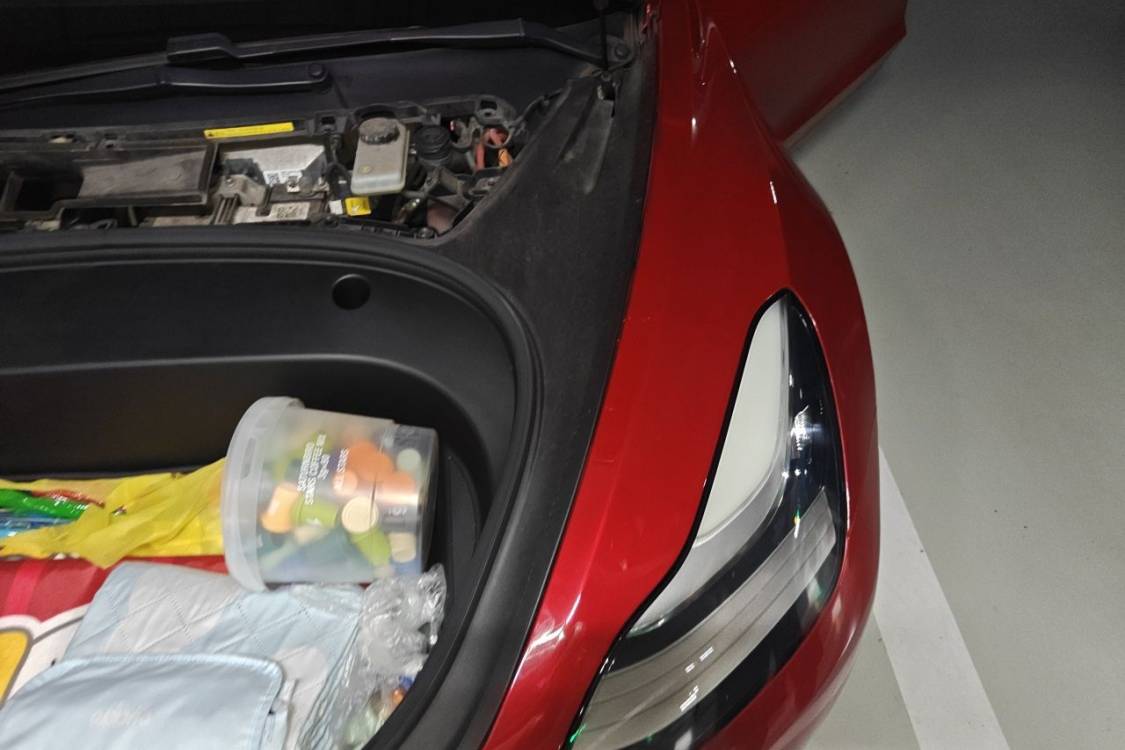 Tesla Model 3 2020 immagine di auto #12