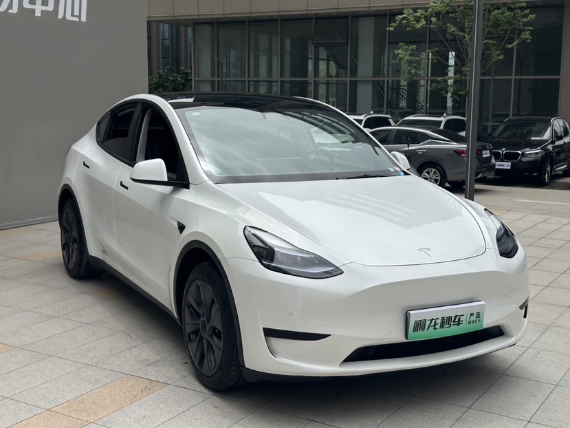 Tesla Model Y 2024 car image #4