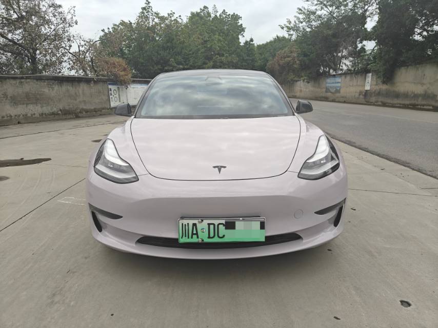 特斯拉 Model 3 2020 汽车图片 #4