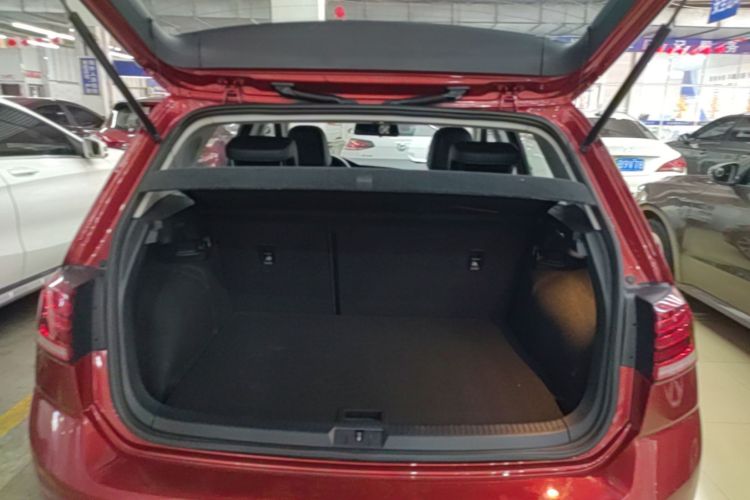 Volkswagen Golf 2020 car image #19