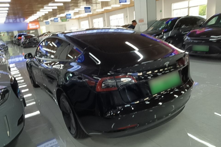 Tesla Model 3 2022 #5 Tesla Model 3 2022 car image #5