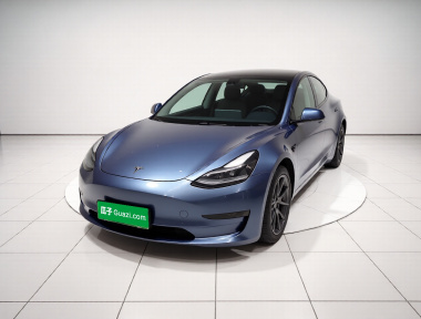 Tesla Model 3 2021 Tesla Model 3 2021 car image