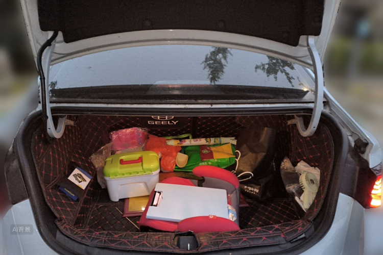 GEELY Emgrand L HiP 2022 car image #21