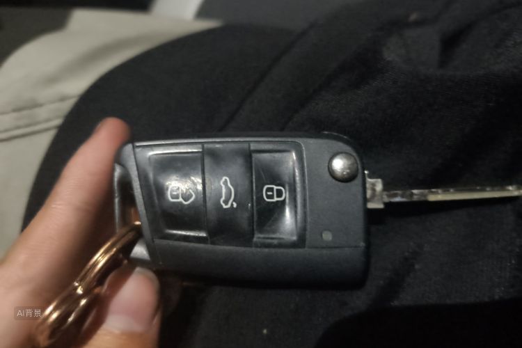 Volkswagen Polo 2020 car image #10