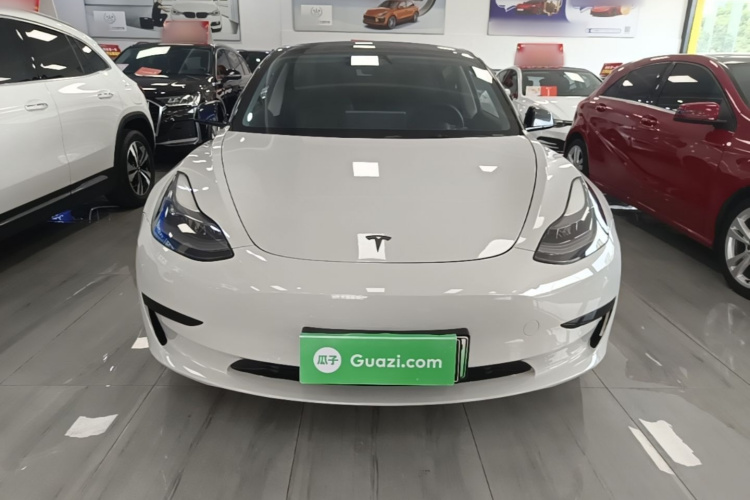 Tesla Model 3 2021 #3 Tesla Model 3 2021 car image #3