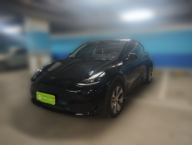 Tesla Model Y 2022 car image 