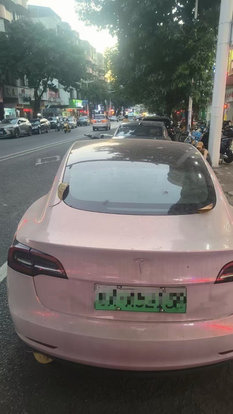 Tesla Model 3 2021 #3 Tesla Model 3 2021 immagine di auto #3