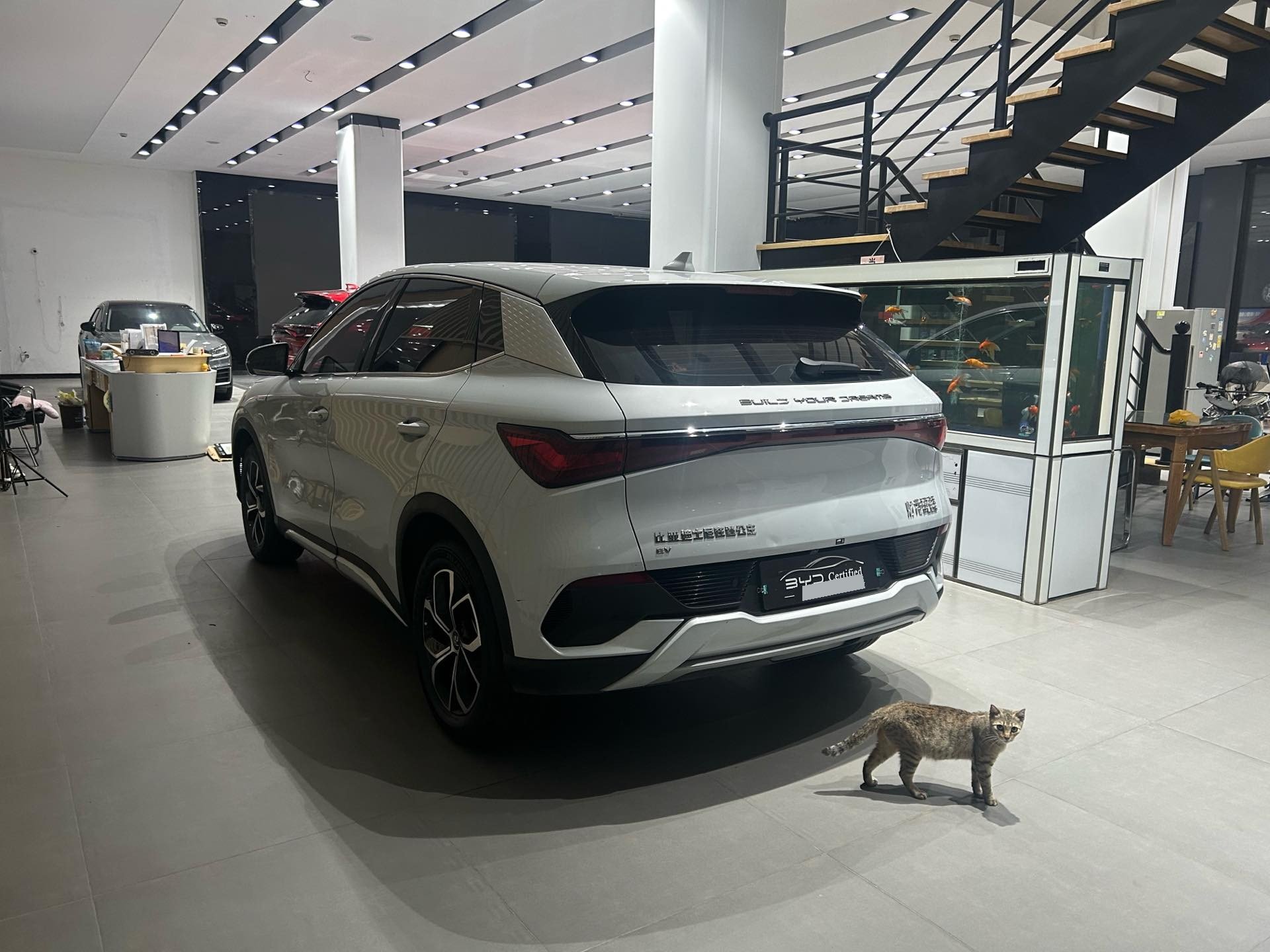 BYD Yuan Plus 2024 car image #9