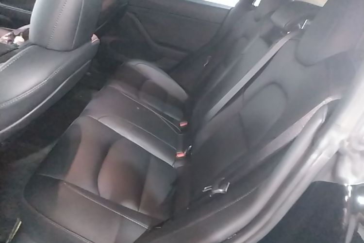 Tesla Model 3 2022 #17 Tesla Model 3 2022 car image #17